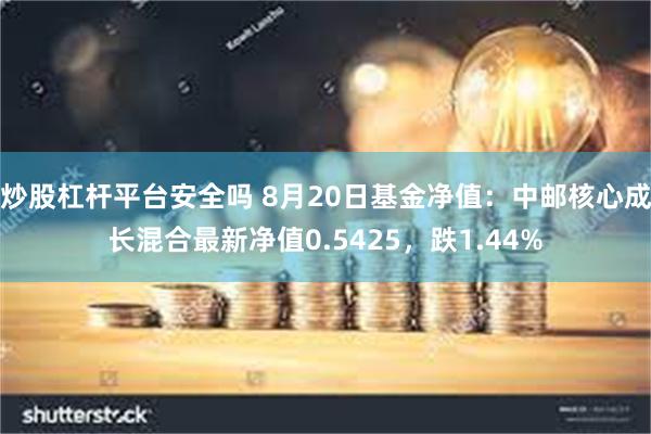 炒股杠杆平台安全吗 8月20日基金净值：中邮核心成长混合最新净值0.5425，跌1.44%