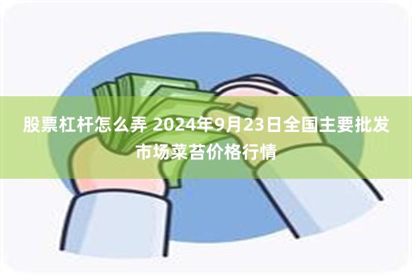 股票杠杆怎么弄 2024年9月23日全国主要批发市场菜苔价格行情