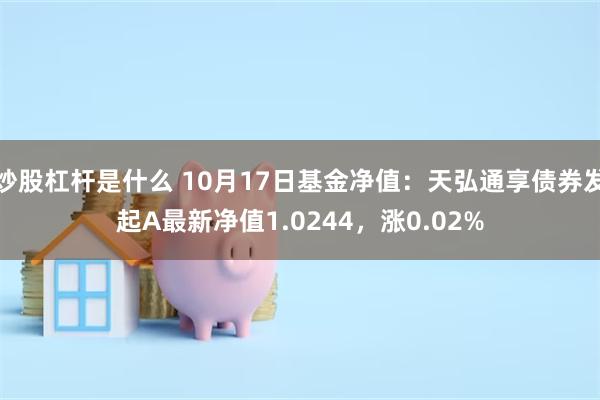 炒股杠杆是什么 10月17日基金净值：天弘通享债券发起A最新净值1.0244，涨0.02%