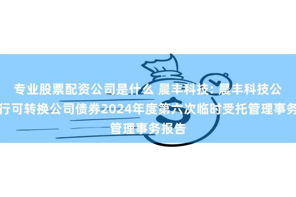 专业股票配资公司是什么 晨丰科技: 晨丰科技公开发行可转换公司债券2024年度第六次临时受托管理事务报告