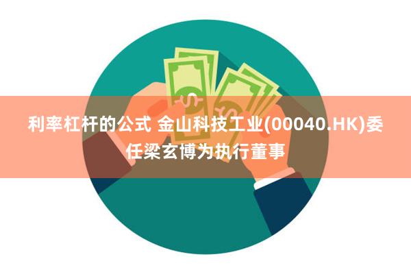 利率杠杆的公式 金山科技工业(00040.HK)委任梁玄博为执行董事