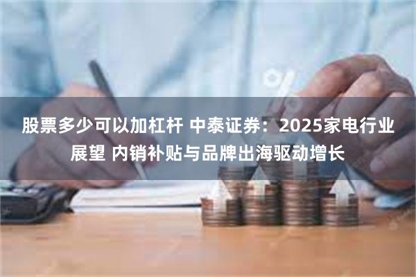 股票多少可以加杠杆 中泰证券：2025家电行业展望 内销补贴与品牌出海驱动增长