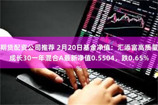 期货配资公司推荐 2月20日基金净值：汇添富高质量成长30一年混合A最新净值0.5504，跌0.65%