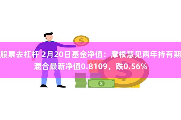 股票去杠杆 2月20日基金净值：摩根慧见两年持有期混合最新净值0.8109，跌0.56%